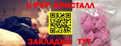 прущие грибы Дмитров