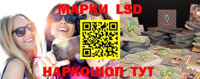 прущие грибы Дмитров