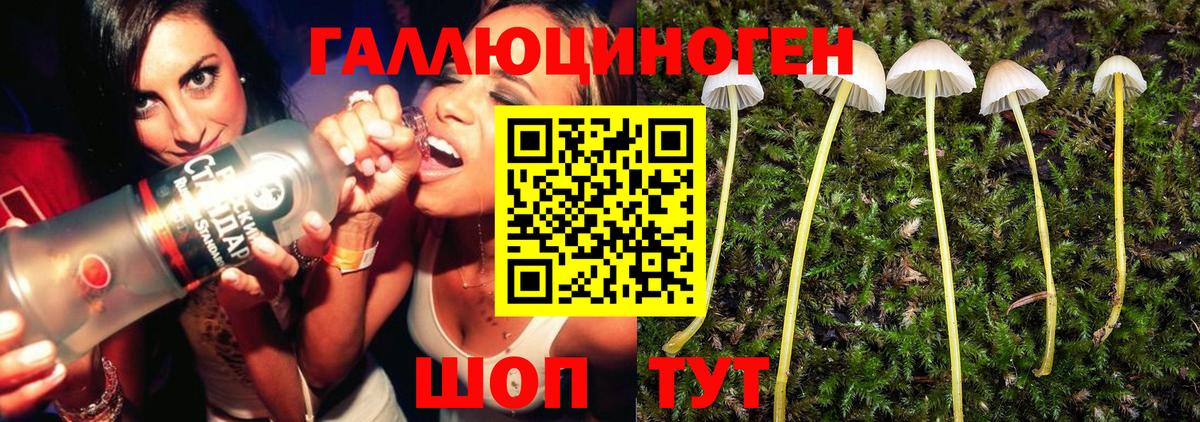 Галлюциногенные грибы прущие грибы Бердск