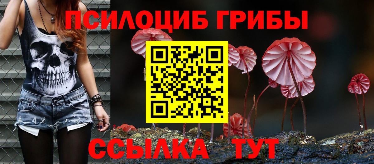 Бердск  Галлюциногенные грибы мухоморы  Галлюциногенные грибы ЛСД  купить   Вход с VPN 