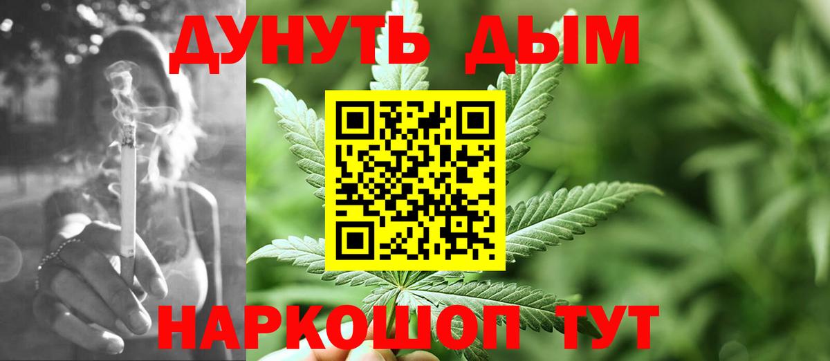 Конопля сатива  Вход с VPN  Бошки Шишки MAZAR  Бошки Шишки конопля  Бердск 